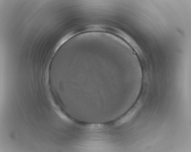 X0000115410858200911241326