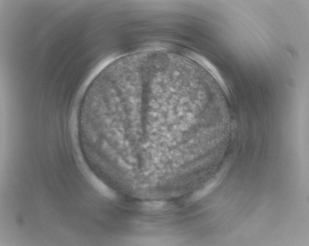 X0000115410859200911241326