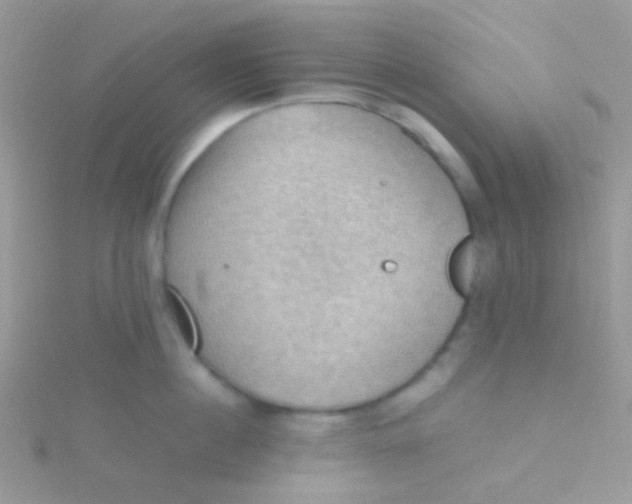 X0000115410860200911241326