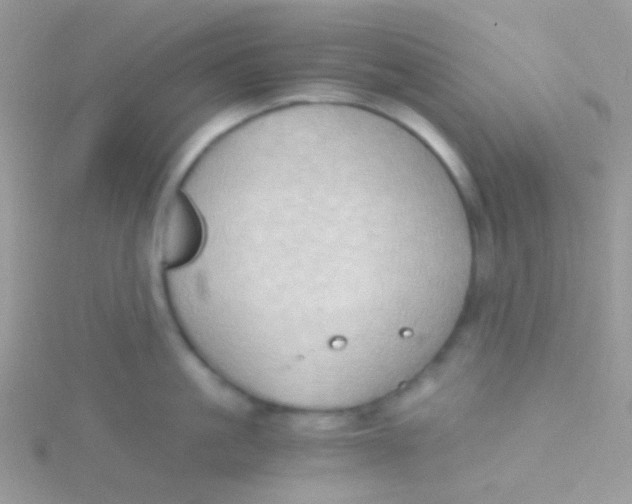 X0000115410861200911241326