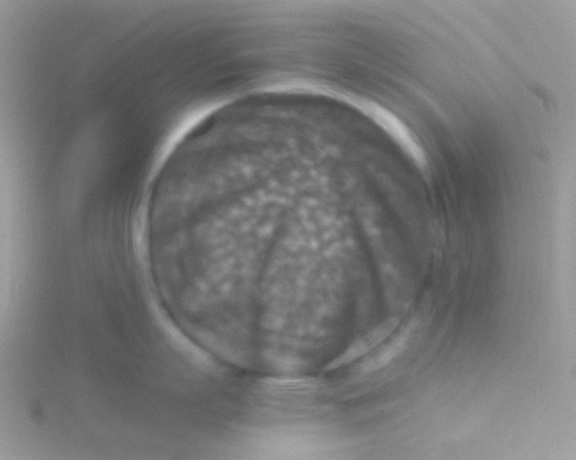 X0000115410863200911241326