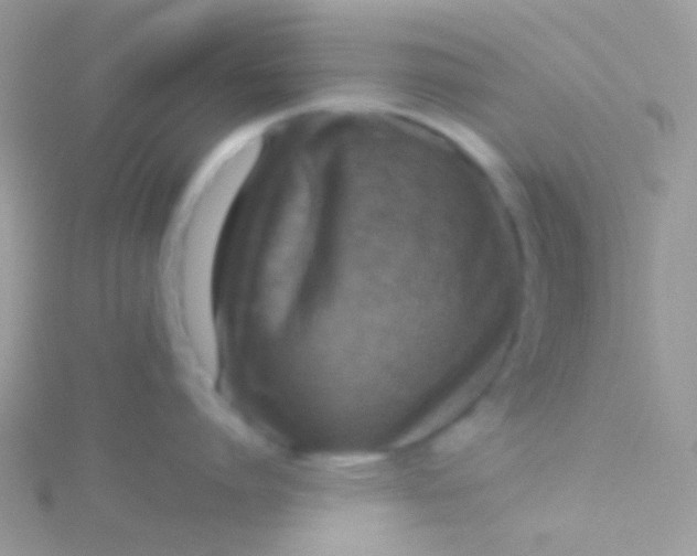 X0000115410864200911241326