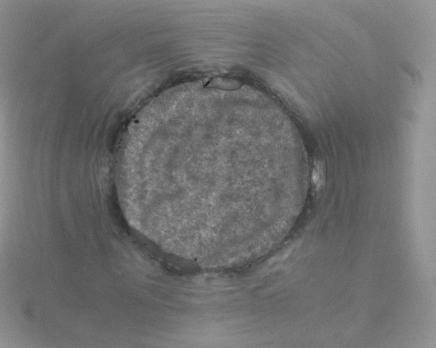 X0000115410867200911241325