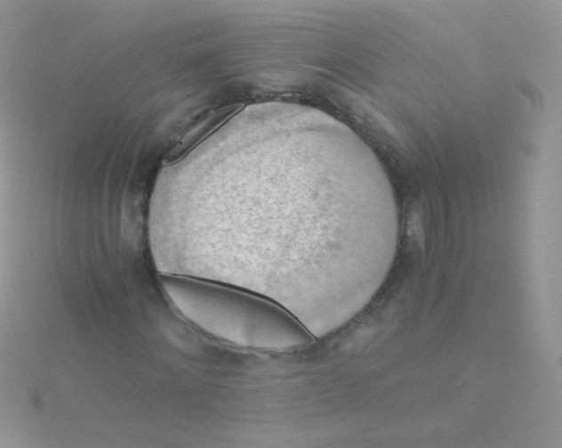 X0000115410868200911241325