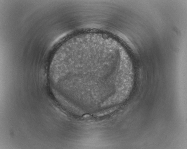 X0000115410872200911241325