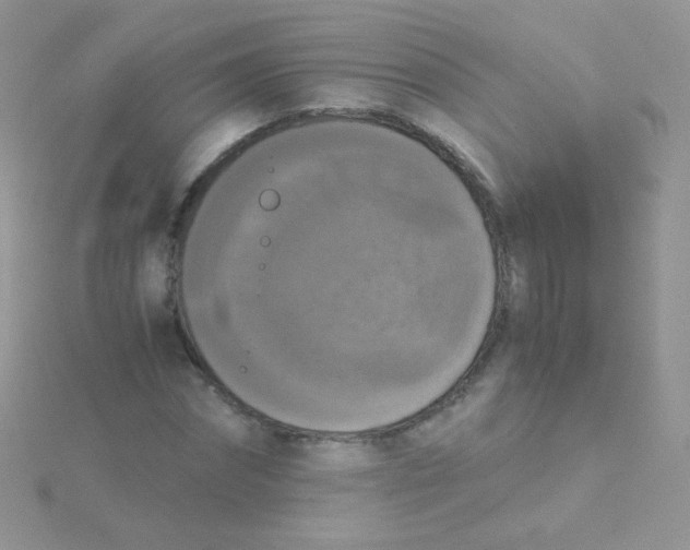 X0000115410874200911241325