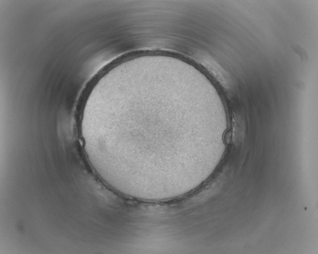 X0000115410876200911241325