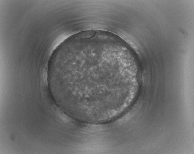 X0000115410877200911241325