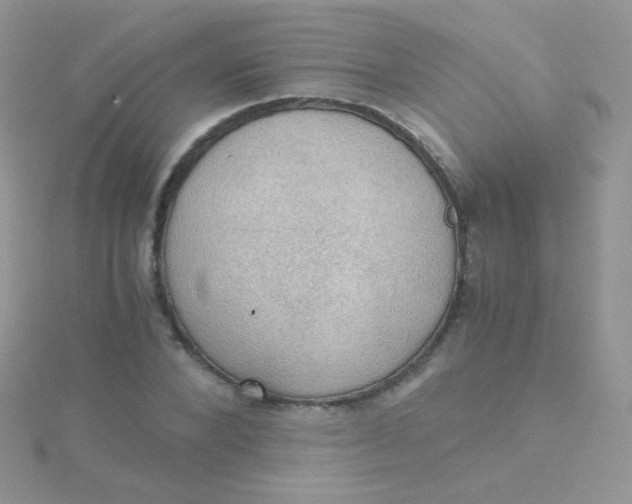 X0000115410880200911241325