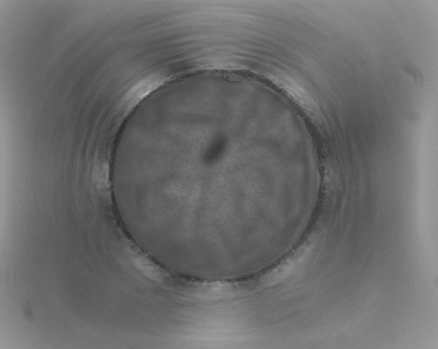 X0000115410881200911241325