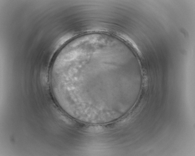 X0000115410882200911241325