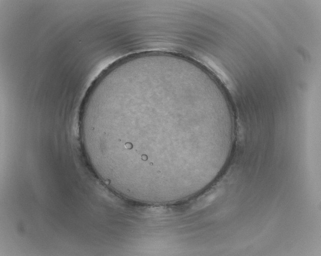 X0000115410883200911241325