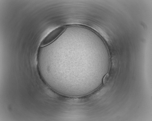 X0000115410885200911241325