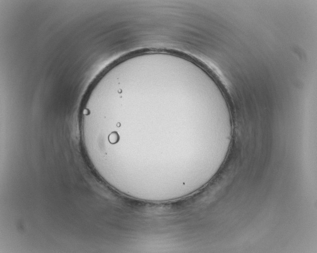 X0000115410887200911241325