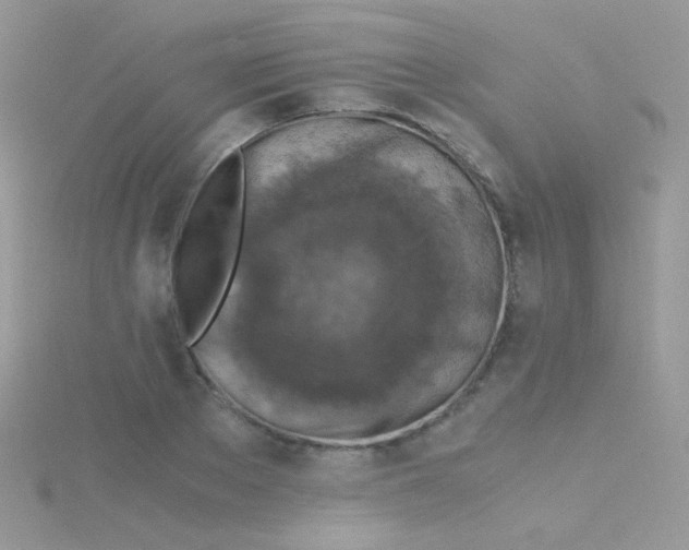 X0000115410889200911241325