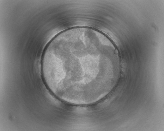 X0000115410890200911241325