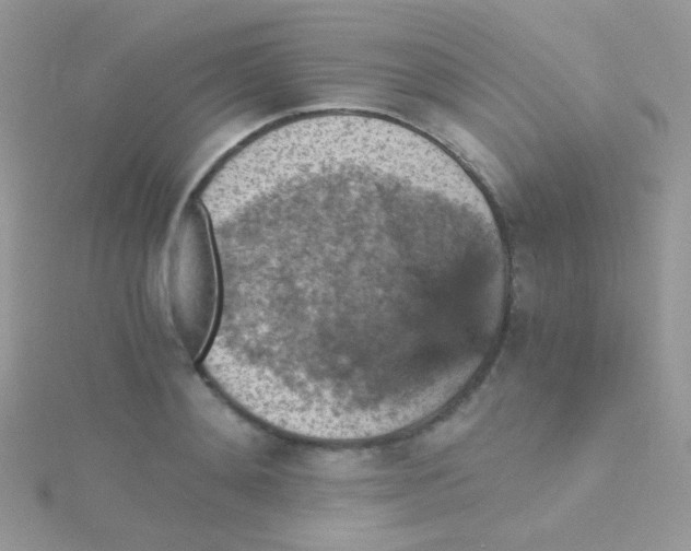 X0000115410892200911241325