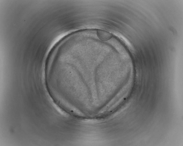 X0000115410894200911241325