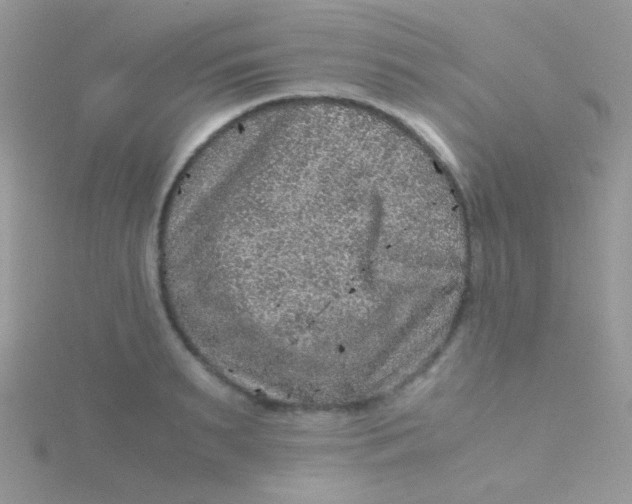 X0000115410895200911241325