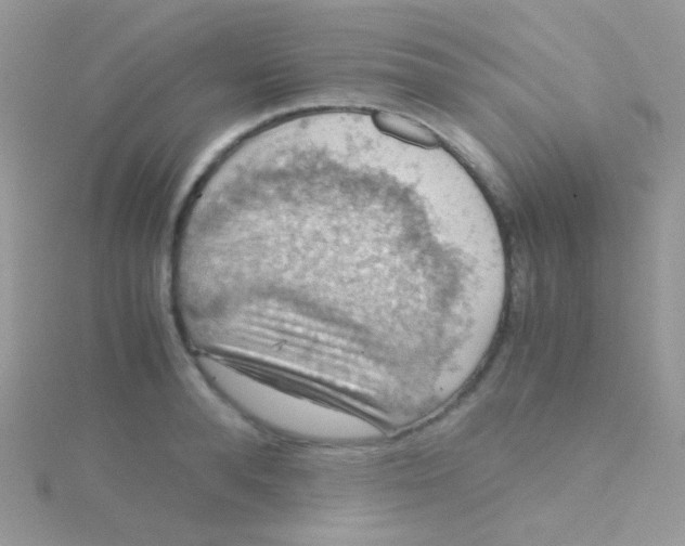 X0000115410896200911241325