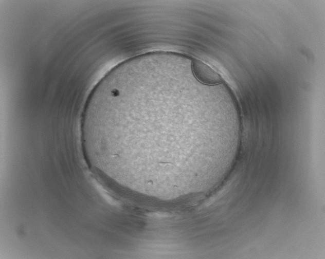 X0000115410898200911241325