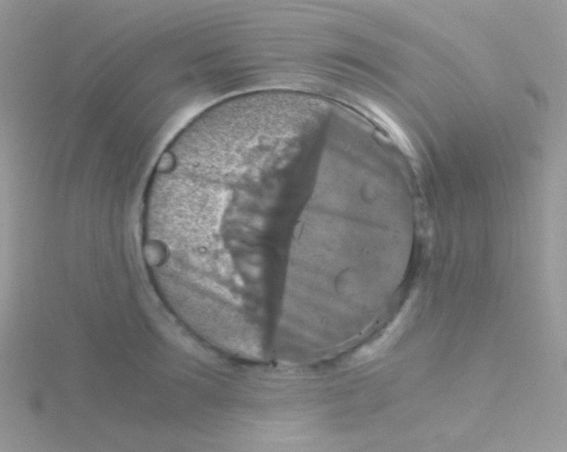 X0000115410899200911241325