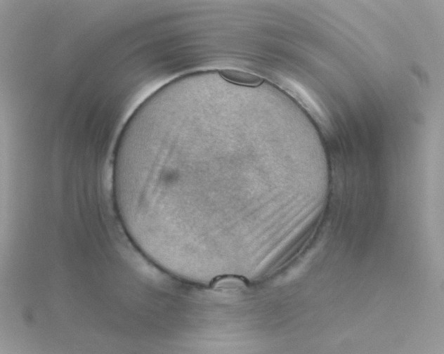 X0000115410900200911241325