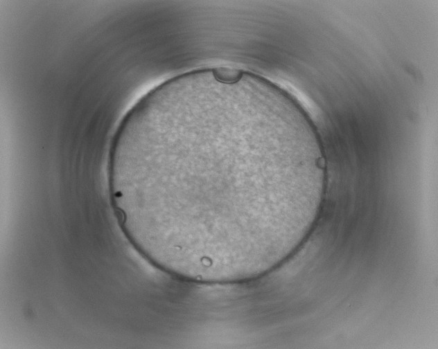 X0000115410902200911241325