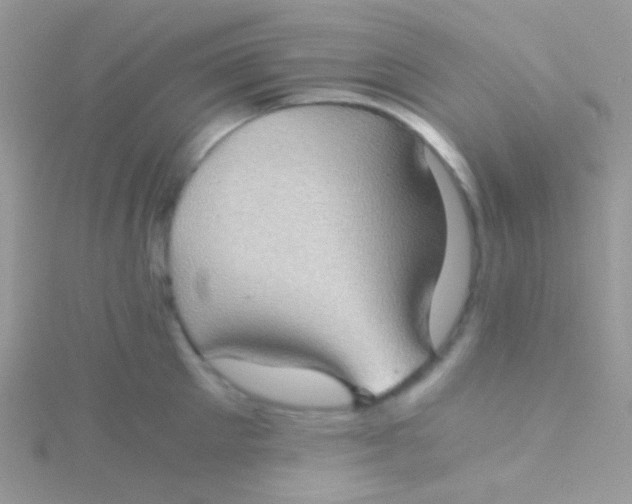 X0000115410905200911241325