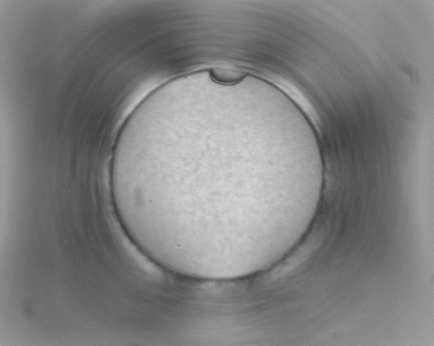 X0000115410906200911241325