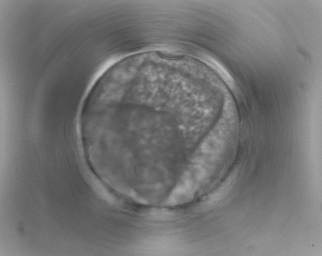 X0000115410907200911241325