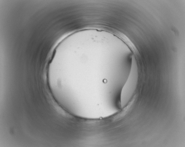 X0000115410908200911241325