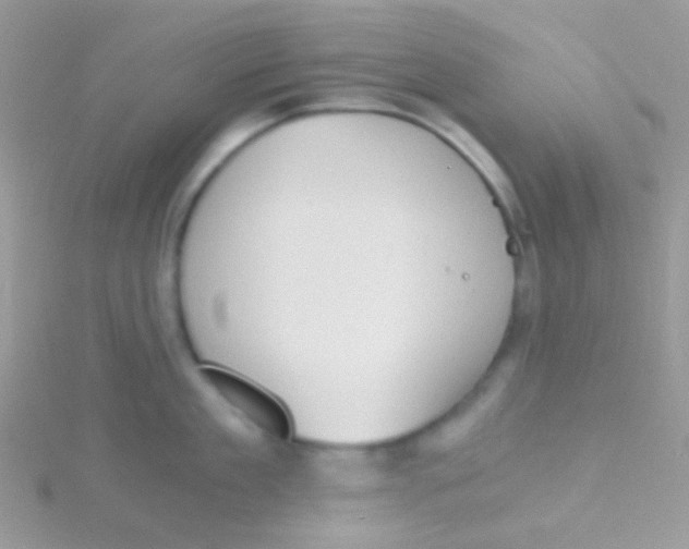 X0000115410909200911241325