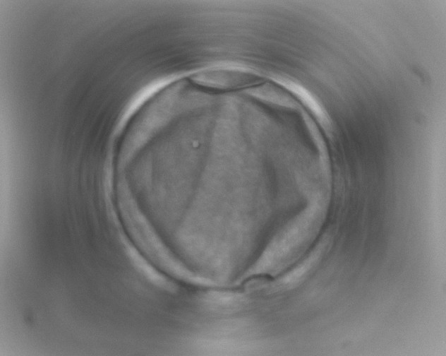 X0000115410910200911241325