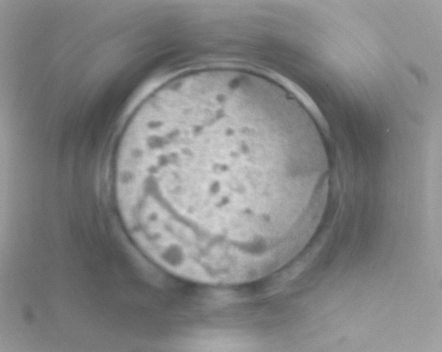 X0000115410911200911241325