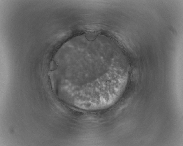 X0000115410913200911241324