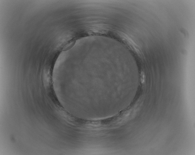 X0000115410915200911241324