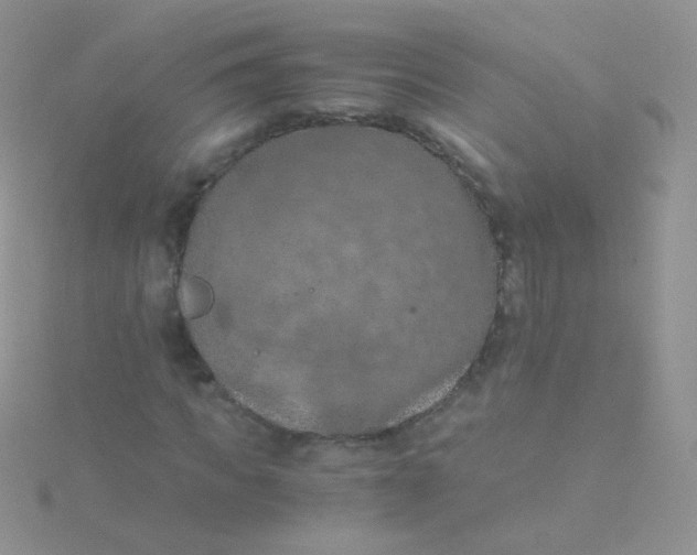 X0000115410917200911241324