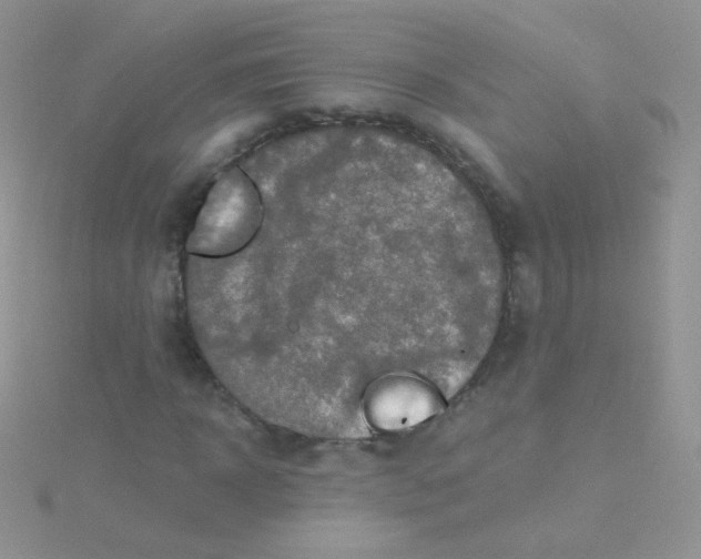 X0000115410918200911241324