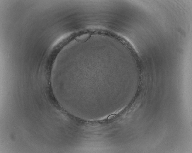 X0000115410919200911241324