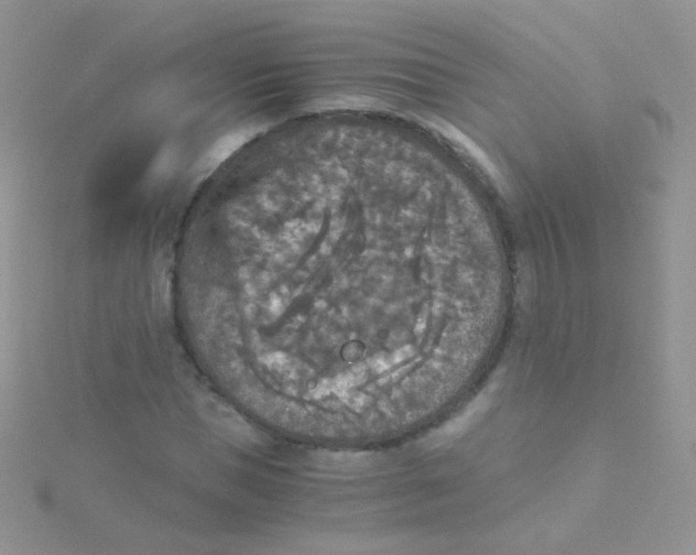 X0000115410921200911241324