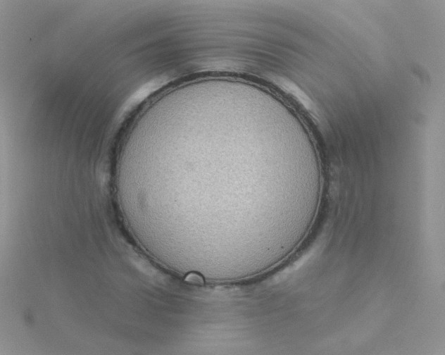 X0000115410922200911241324