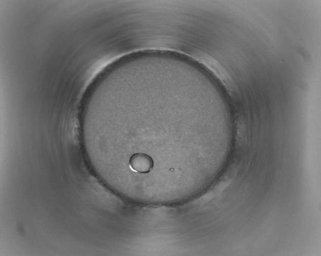 X0000115410926200911241324