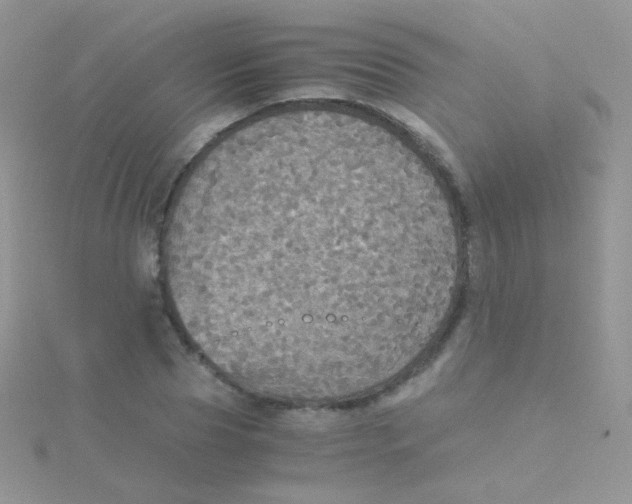 X0000115410929200911241325