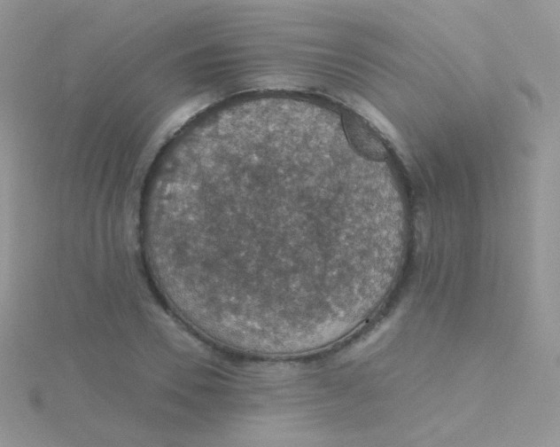 X0000115410930200911241325