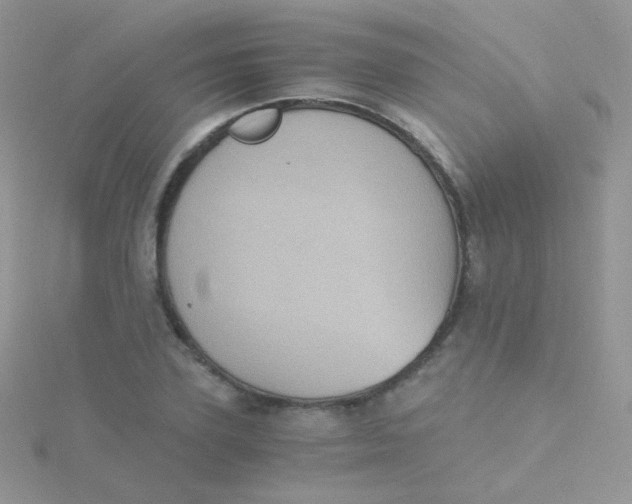 X0000115410931200911241325