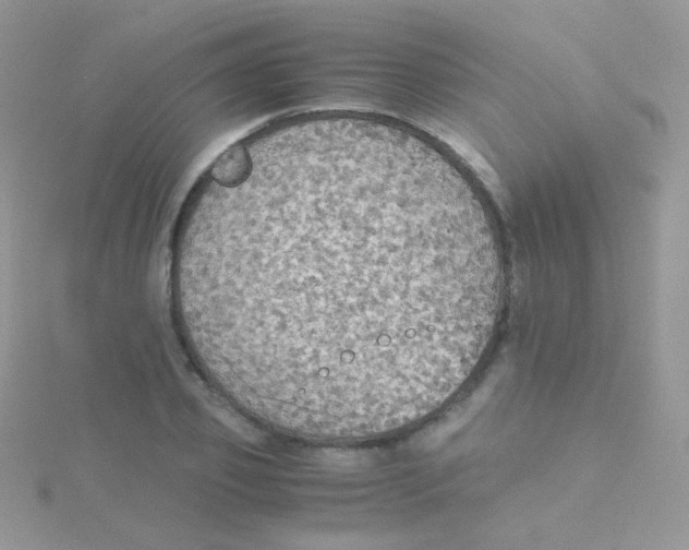 X0000115410933200911241325