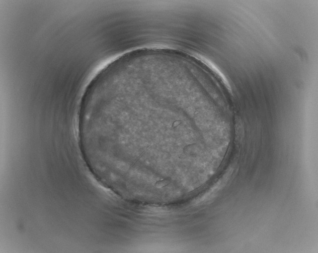 X0000115410935200911241325