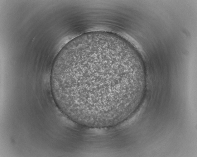 X0000115410937200911241325