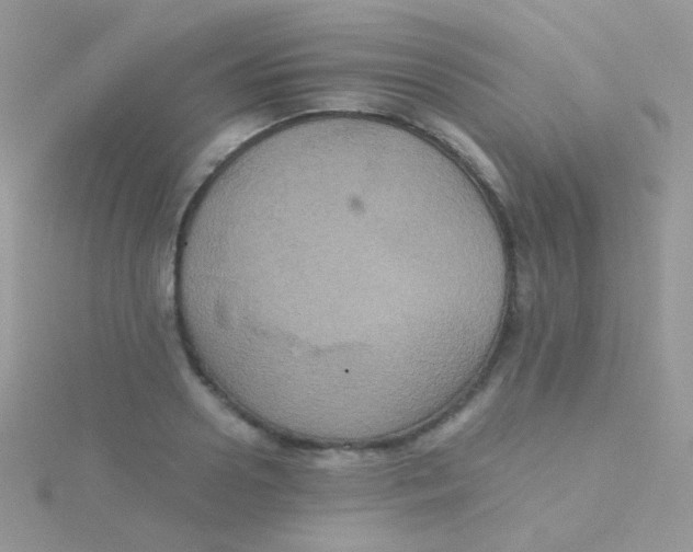 X0000115410938200911241325